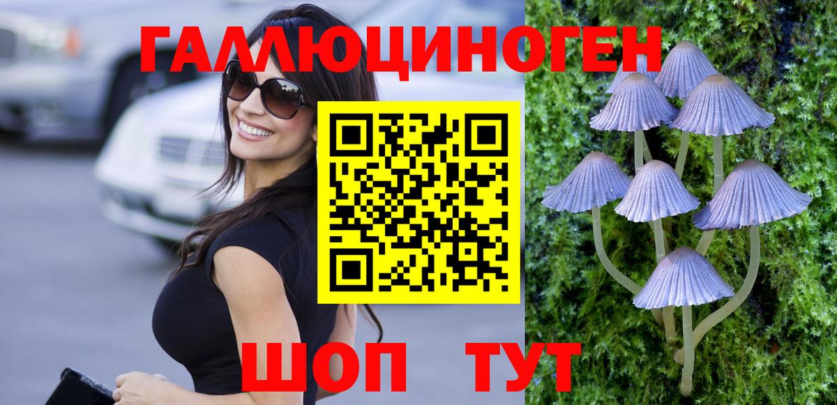 Галлюциногенные грибы GOLDEN TEACHER  Вход с VPN  Геленджик 